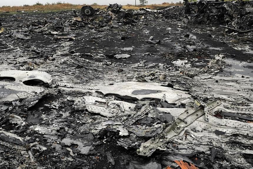 A photo taken on Sept 9, 2014 shows part of the Malaysia Airlines Flight MH17 at the crash site in the village of Hrabove (Grabovo), some 80km east of Donetsk.&nbsp;Russian Defence Minister Sergei Shoigu told his Malaysian counterpart on Wednesday, S