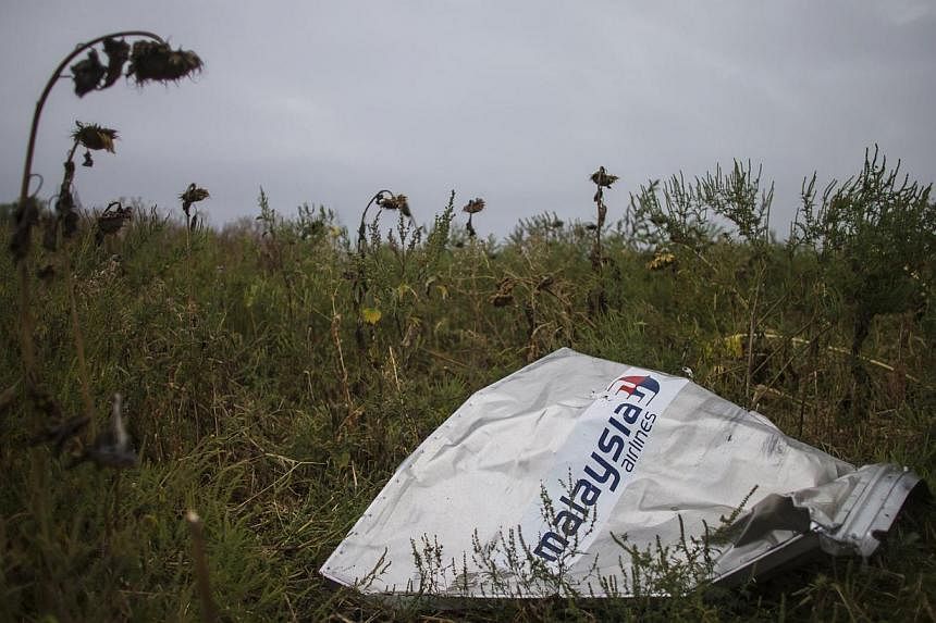 A piece of wreckage from the downed Malaysia Airlines flight MH17 is pictured near the village of Hrabove (Grabovo) in Donetsk region, eastern Ukraine on Sept 9, 2014. -- PHOTO: REUTERS