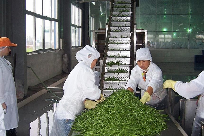 Long beans being sorted by employees at a factory belonging to China-based canned food company Sino Grandness Food Industry. Mainboard-listed Sino Grandness announced on Thursday that Thai investment conglomerates, Thoresen Thai Agencies (TTA) and PM