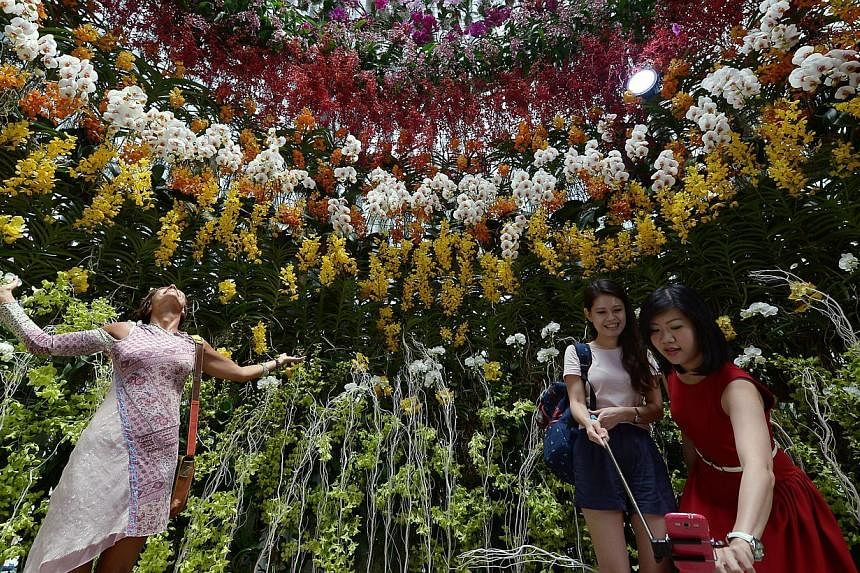 The recently concluded Singapore Garden Festival has won the International Garden Tourism Achievement of the Year award, at the Gardens Without Limits Conference held on Thursday in Metz, France. -- PHOTO: ST FILE