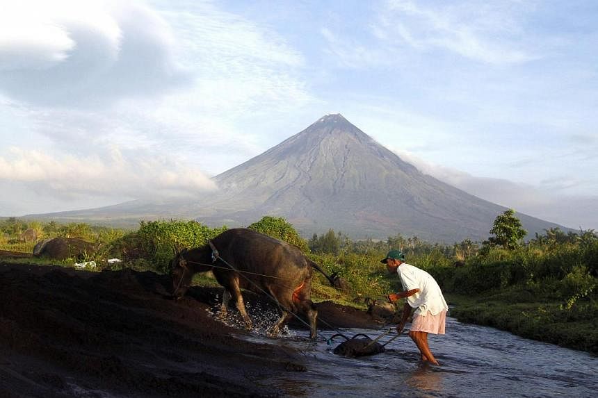 A farmer walks with his buffalo with the Mayon Volcano in the background in Albay province, Bicol region, south of Manila on Sept 17, 2014.&nbsp;After evacuating about 55,000 people, Philippine authorities said on Sunday, Oct 5, that they were labour