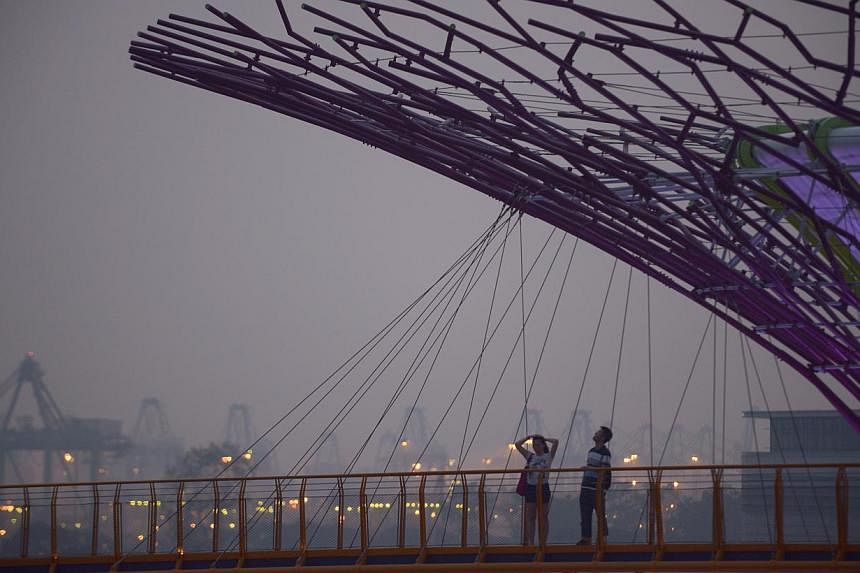 A hazy evening at the Gardens by the Bay at about 7am on Oct 8, 2014. -- ST PHOTO: MARK CHEONG