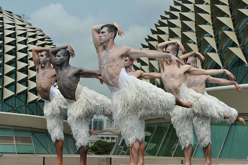 British choreographer Matthew Bourne’s groundbreaking and critically acclaimed interpretation of the classic ballet Swan Lake will be the opening show for da:ns Festival 2014. -- ST PHOTO: RUDY WONG