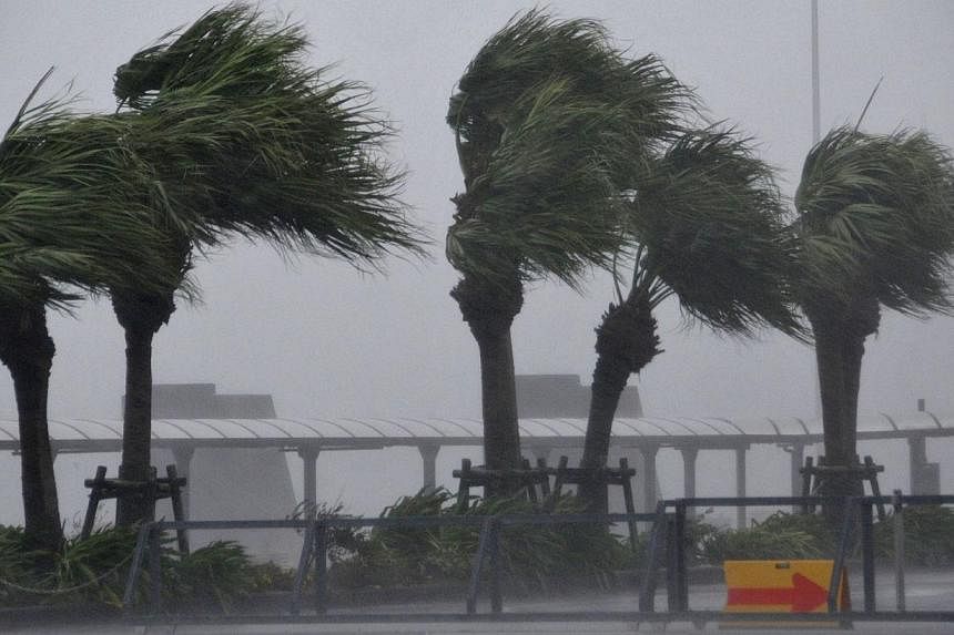 Roadside trees are blown by strong winds in Miyazaki, Japan's southern island of Kyushu on Oct 12, 2014.&nbsp;Five flights to and from Singapore and Japan will be delayed today and tomorrow as a result of Tropical Storm Vongfong. -- PHOTO: AFP
