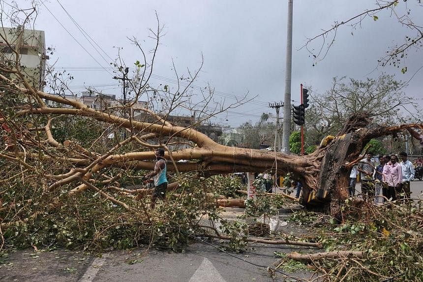 An uprooted tree is pictured across a road after Cyclone Hudhud made landfall in Visakhapatnam on Oct 13, 2014.&nbsp;Powerful Cyclone Hudhud which struck India's east coast at the weekend has killed at least 22 people, damaged thousands of homes, bla