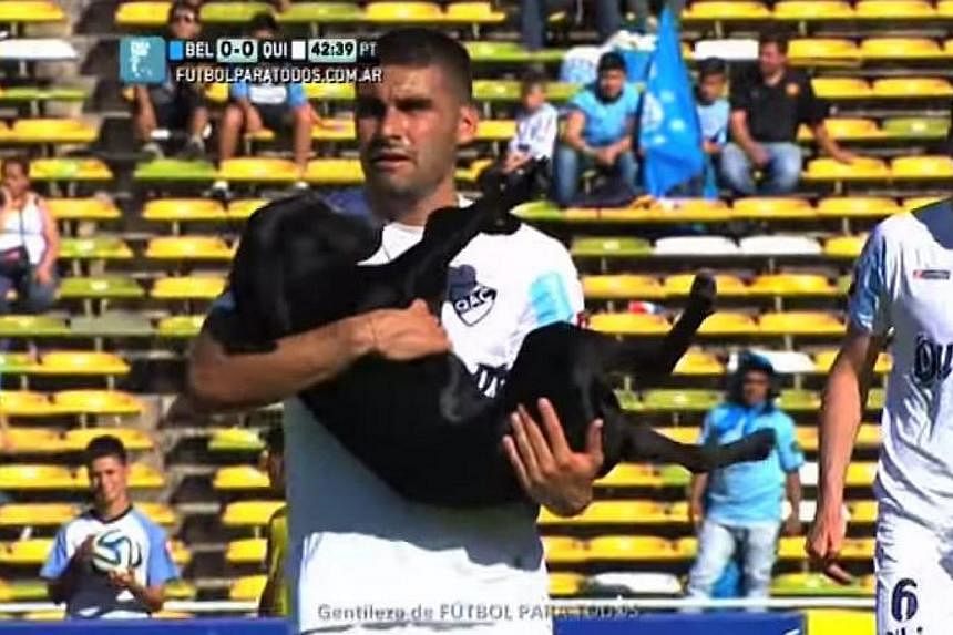 A player carries the pooch of the pitch in style. -- PHOTO: SCREENGRAB FROM YOUTUBE