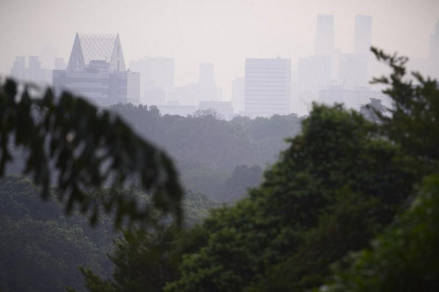 The view from Kent Ridge Park at around 7am on 15 Oct, 2014. The overall PSI reading in Singapore at 7am was 67-72. -- ST PHOTO:&nbsp;MARK CHEONG