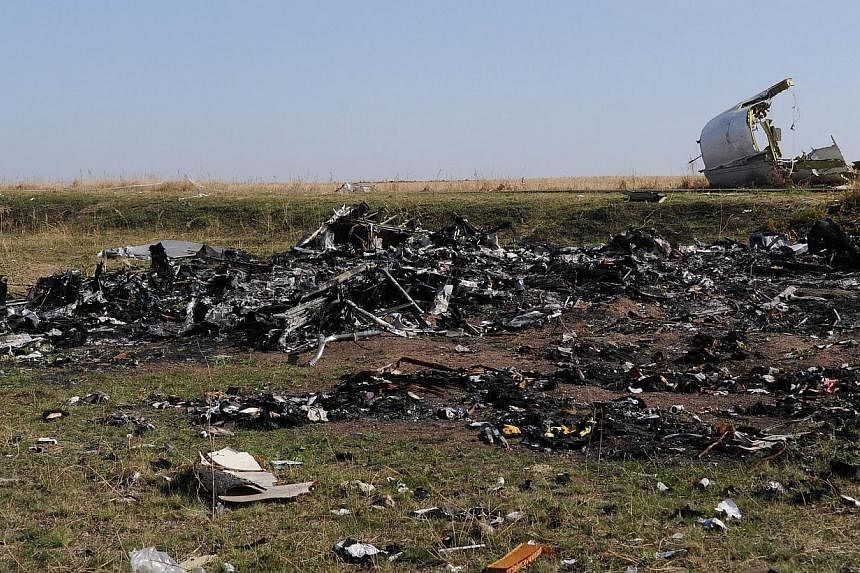 A picture taken on Oct 15, 2014 shows the wreckage of Malaysia Airlines flight MH17 near the village of Rassipnoe. -- PHOTO: AFP