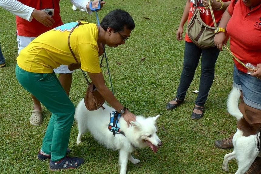 Organiser Syed Azmi petting a dog while volunteers and pet owners (in red) look on during the “I Want To Touch A Dog” event on 19 Oct 2014, which has triggered an investigation from the Islamic Development Department.&nbsp;Unsatisfied with just t