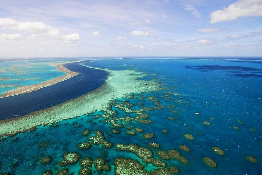 Australia's plans to protect the Great Barrier Reef are inadequate, short-sighted and will not prevent its decline, the country's pre-eminent grouping of natural scientists said Tuesday. -- PHOTO: BLOOMBERG