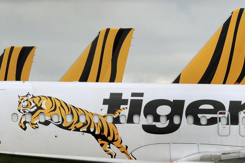 Tigerair changes policy on guide dogs | The Straits Times