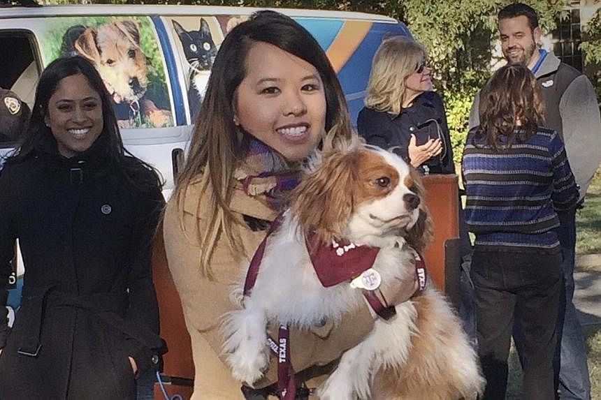 Ebola survivor Nina Pham is reunited with her dog Bentley at the Dallas Animal Services Centre in Dallas, Nov 1, 2014. Pham, the Dallas nurse treated for Ebola had an emotional reunion on Saturday with her "best friend," a King Charles Spaniel, after