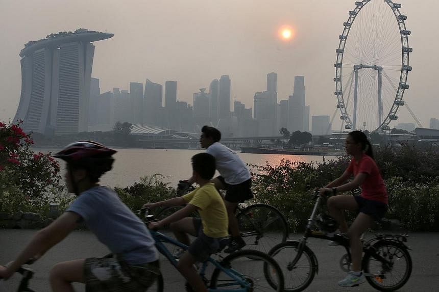 The view from Gardens by the Bay East yesterday evening. NEA detected 205 hot spots in Sumatra last Saturday. It said drier weather in south Sumatra over the past two days had led to a spike in hot spots.