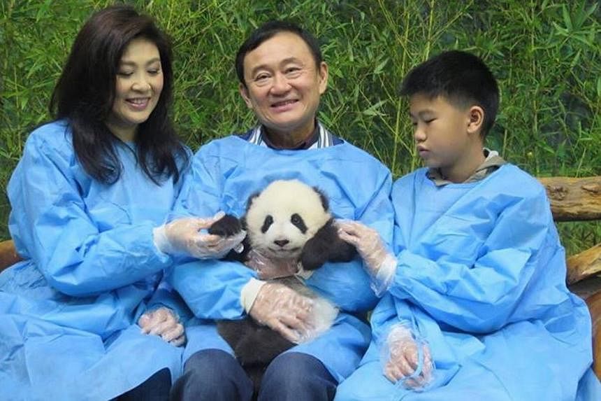 This photo of former Thai premiers Thaksin and Yingluck Shinawatra, along with Yingluck's son&nbsp;Supasek Amornchat, cuddling a panda in China was widely used by the country's media over the weekend. -- PHOTO: FACEBOOK/YINGLUCK SHINAWATRA&nbsp;
