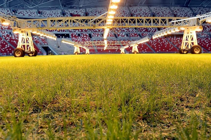 The state of the grass pitch on Nov 4, 2014, at the new National Stadium at the Singapore Sports Hub. -- PHOTO: BERITA HARIAN