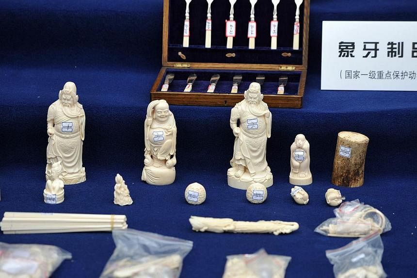 This picture taken on January 22, 2014 shows illegally imported ivory products confisticated by Yunnan police in Kunming, south-west China's Yunnan province. Chinese diplomatic and military staff went on buying sprees for illegal ivory while on offic