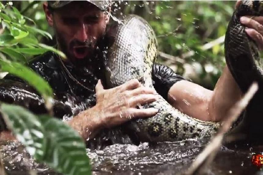 A young American naturalist, filmmaker and adventurer in the Amazon set off an Internet stir Thursday after he claimed he offered himself for dinner to a giant snake for a TV show. -- SCREENGRAB: DISCOVERY CHANNEL/ YOUTUBE