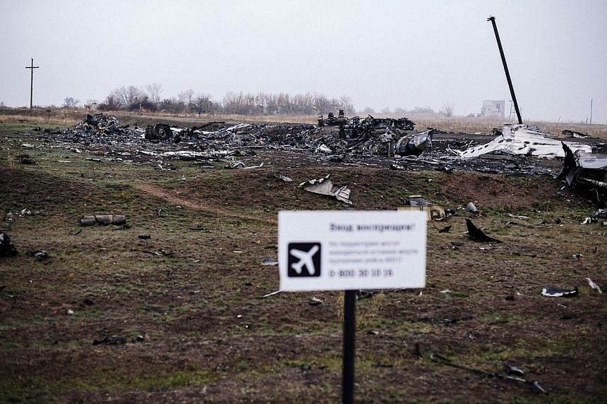 Parts of the Malaysia Airlines Flight MH17 at the crash site in the village of Hrabove (Grabovo), some 80km east of Donetsk. -- PHOTO: AFP