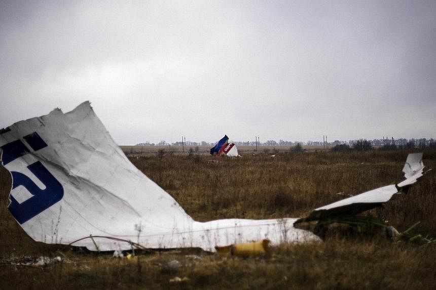 Parts of the Malaysia Airlines Flight MH17 at the crash site near the village of Hrabove (Grabovo), some 80km east of Donetsk. -- PHOTO: AFP