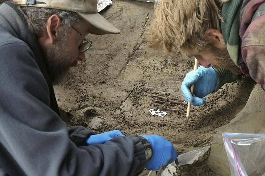 University of Alaska Fairbanks (UAF) professors Ben Potter (left) and Josh Reuther excavate the burial pit at the Upward Sun River site in central Alaska in this undated handout photo provided courtesy of Ben Potter, on Nov 11, 2014. &nbsp;-- PHOTO: 