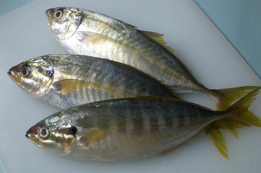 Anticipating a shortage during the monsoon season, Malaysia has stopped exporting fish such as&nbsp;cencaru, selar (pictured), selayang and kembung, to Singapore and Thailand, according to local reports. -- PHOTO: ST FILE
