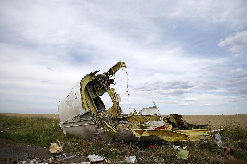 A part of the wreckage is seen at the crash site of the Malaysia Airlines Flight MH17 near the village of Hrabove (Grabovo), in the Donetsk region in this July 21, 2014 file photo. -- PHOTO: REUTERS