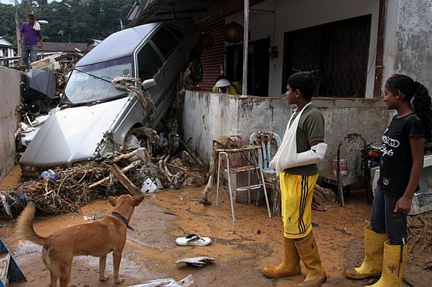Two cars lie piled up among debris in the aftermath of a flood in Ringlet, Cameron Highlands, on Nov 6, 2014.&nbsp;The Malaysian government will launch a three-year programme to plant one million trees on Cameron Highlands and halt construction of ne