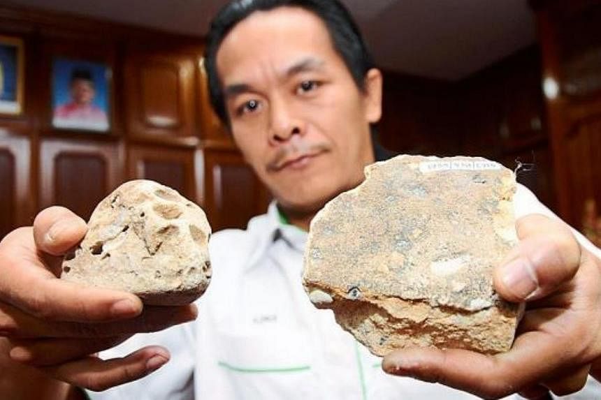 Prime specimen: Geoscience assistant Mohd Azrul Aziz showing the fossils believed to be that of an iguanodon&nbsp;dinosaur species. -- PHOTO: THE STAR/ASIA NEWS NETWORK&nbsp;