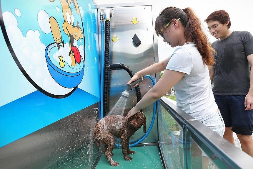 Staff nurse Vivien Lim and her boyfriend Alex Koh washing their miniature poodle Brownie at a K9000 station at pet service centre Sunny Heights in Turf City. -- ST PHOTO: NEO XIAOBIN