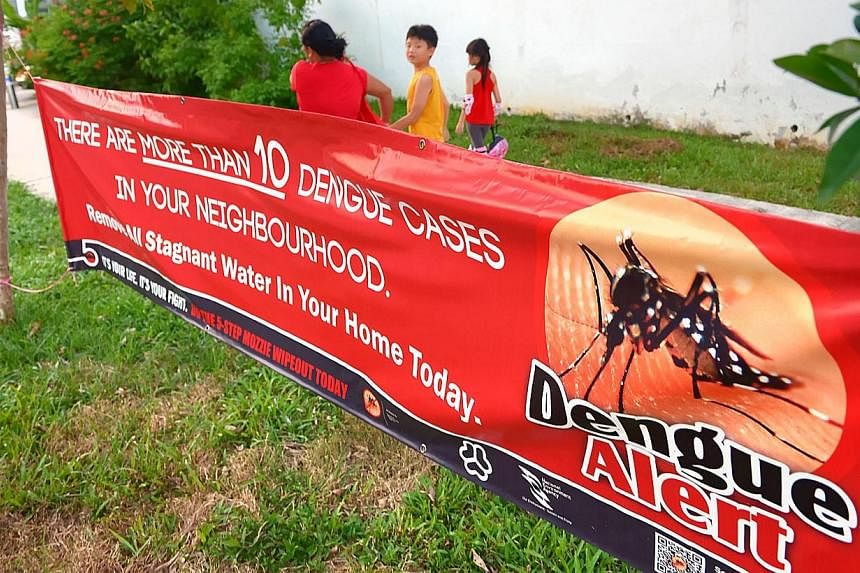 A 69 year-old man has died from dengue, the fifth person to have fallen to the disease this year. -- PHOTO: ST FILE