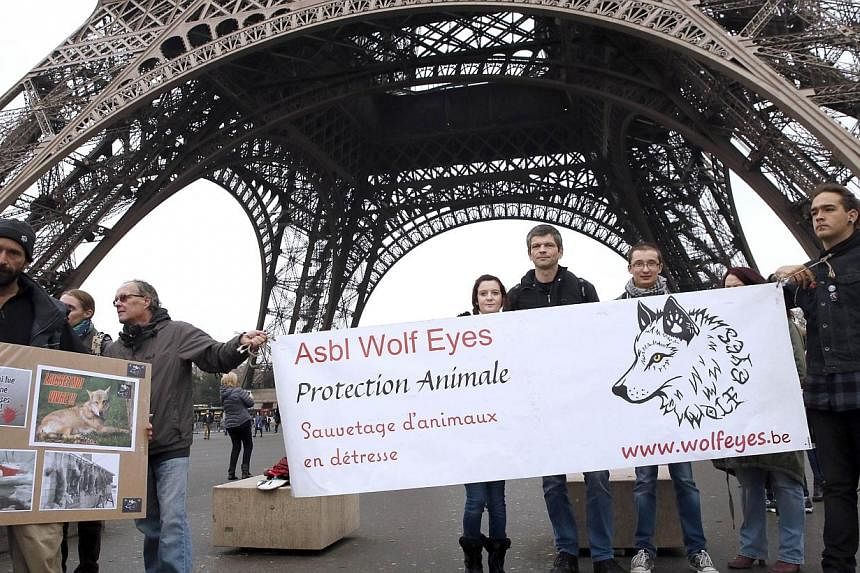French animal rights activists call for the protection of wolves near the Eiffel Tower in Paris on the sidelines of a protest by farmers demanding an effective plan by the ecology ministry to fight against wolves following an increasing number of att