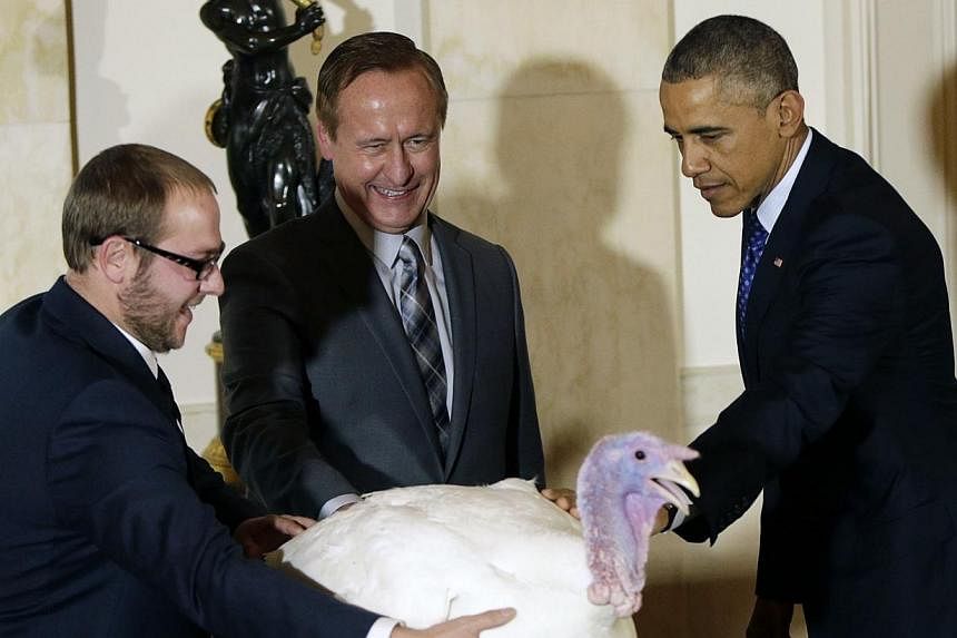 US President Barack Obama pardons a turkey, named Cheese, at the White House in Washington on Nov 26, 2014. -- PHOTO: REUTERS