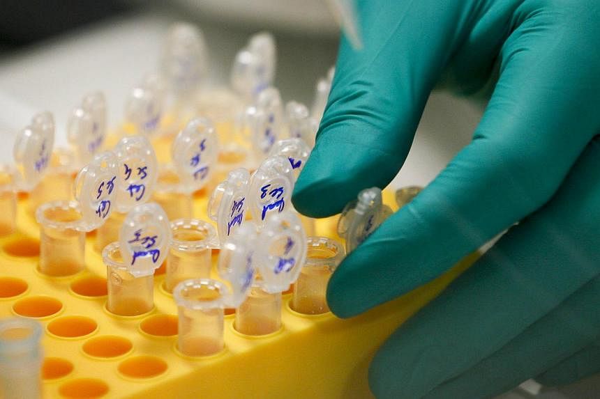 DNA being prepared in a laboratory at the Bioaster Technology Research Institute in Lyon, France. DNA molecules attached to the outside of a rocket may be able survive a return trip to suborbital space. -- PHOTO: REUTERS