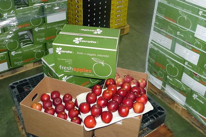 Poland's export switch comes after Russia, which bought 56 per cent of its apple exports last year, started banning agricultural produce from places such as the EU and US in retaliation against Western sanctions imposed on it over the Ukraine crisis.