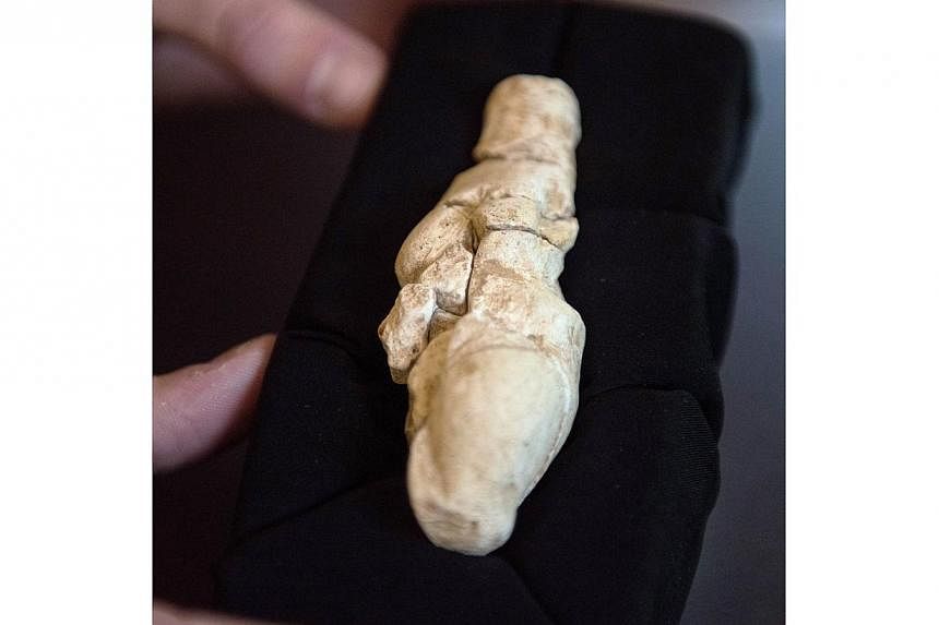 A limestone statuette of a shapely woman some 23,000 years old (above) has been discovered in northern France in what archaeologists on Thursday described as an "exceptional" find. -- PHOTO: AFP