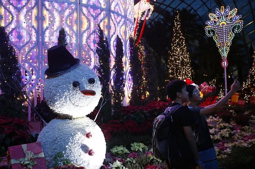 Visitors take pictures with Christmas decorations in the Flower Dome during the official launch of Christmas Wonderland at Gardens by the Bay on Nov 28, 2014. -- ST PHOTO: KEVIN LIM