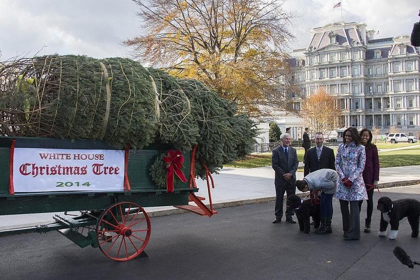 US First Lady Michelle Obama (second right), and her daughters Malia (right) and Sasha (third right) walk around as the White House Christmas Tree is delivered to the White House in Washington, DC, Nov 28, 2014. -- PHOTO: AFP&nbsp;
