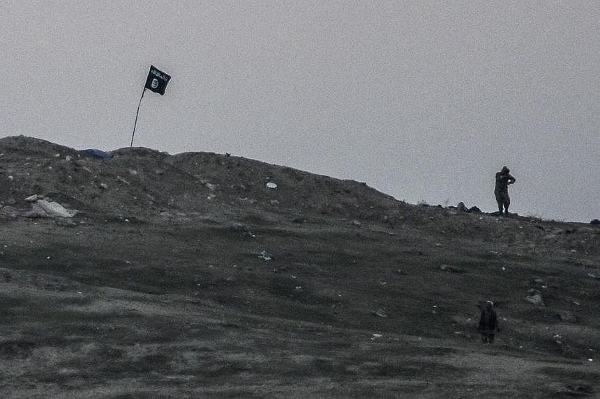 Militants of the Islamic State in Iraq and Syria (ISIS) stand near their flag on Tilsehir hill near Turkish border on Oct 23, 2014, at Yumurtalik village, in Sanliurfa province.&nbsp;An Egyptian court has branded ISIS a "terrorist" organisation, the 
