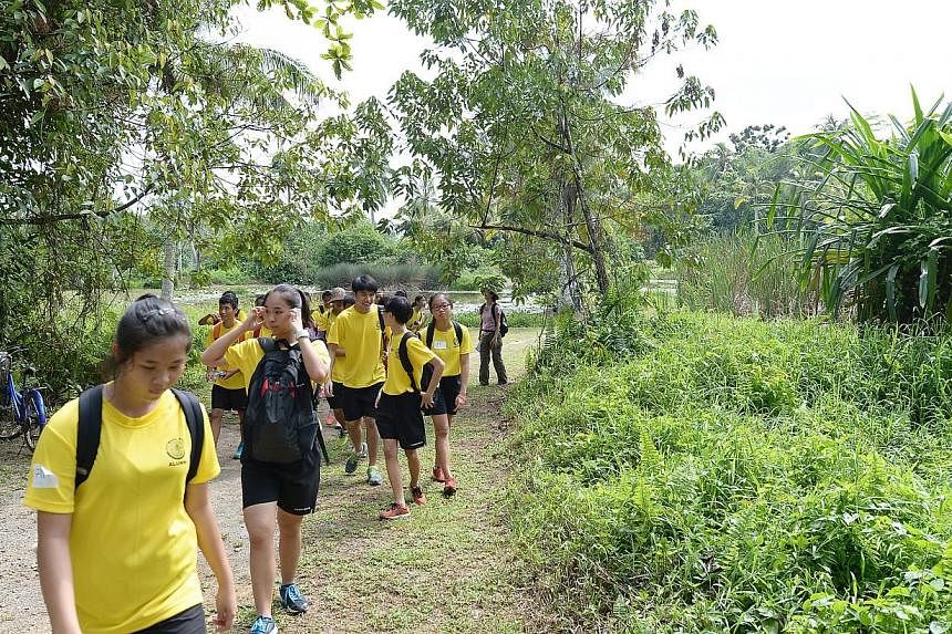 Students leaving the sensory trails ponds in Pulau Ubin on Ubin Day. -- ST PHOTO: NG SOR LUAN