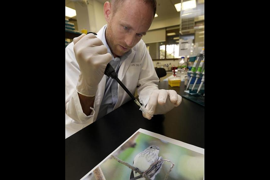 A trilling tribute to late bird scientist The Straits Times