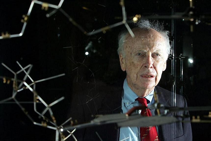 This May 20, 2005 file photo shows Dr James Watson with the original DNA model at the Science museum in London. -- PHOTO: AFP&nbsp;