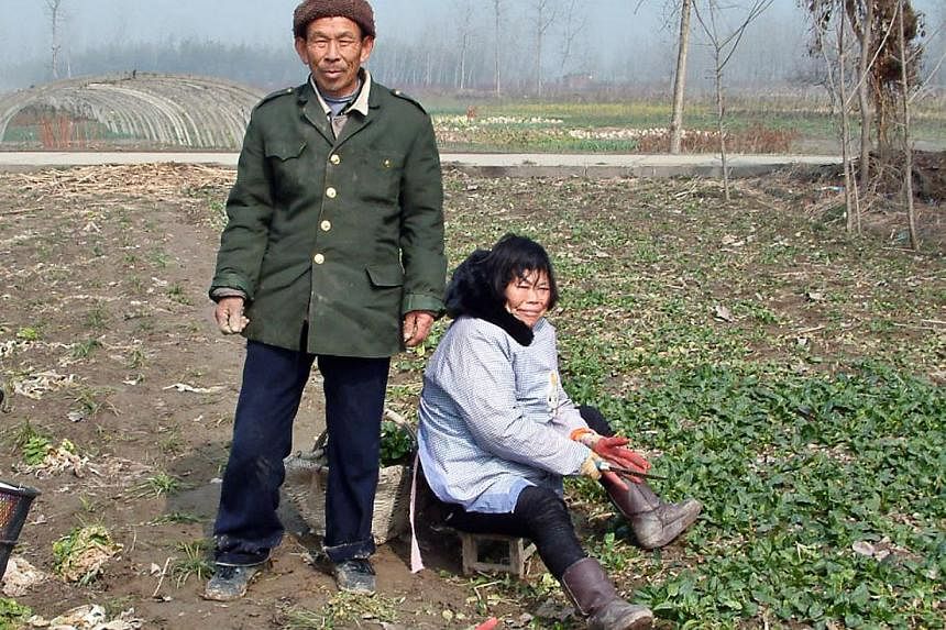 The idyllic village life experienced by China's rural dwellers (above) has been brought to ruins by the breakdown of traditional social norms that followed decades of failed policies and neglect by the state. Crime is soaring, families are falling ap