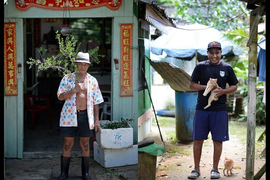 Mr Tan Leong Kiat (left), 84, is the oldest resident on Pulau Ubin, and Mr Mohammad Fadil (right), 30, is the youngest. Mr Tan moved to the island because he wanted to plant herbs. Mr Mohammad, a bachelor, spent time on the island as a child, but mov