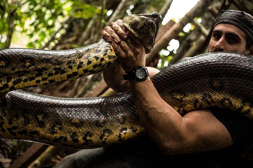 Naturalist Paul Rosolie's attempt at making an anaconda swallow him was aborted. -- PHOTO: FACEBOOK/PAUL ROSOLIE