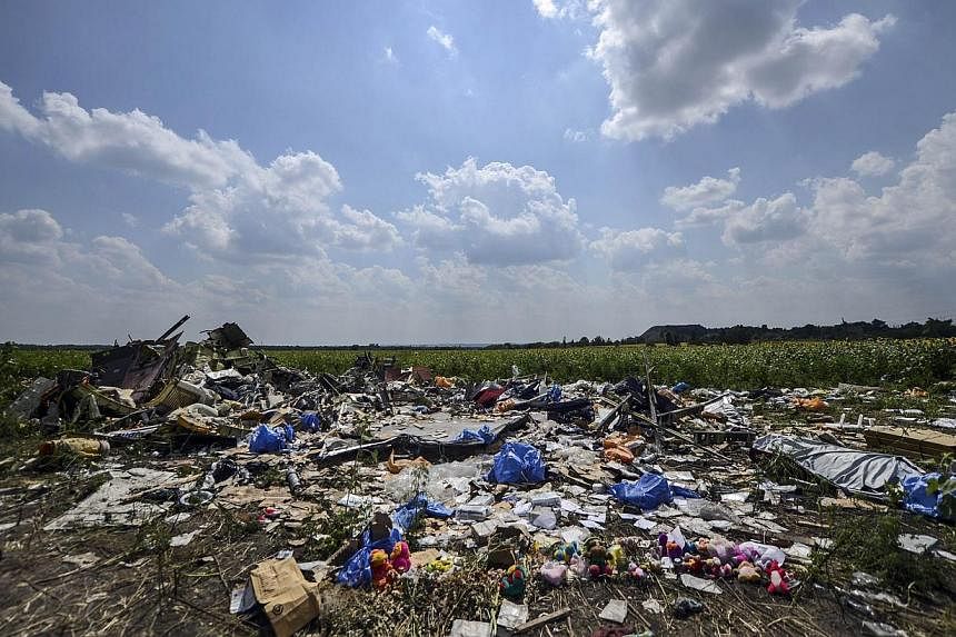 A photo taken on July 23, 2014 shows the crash site of the downed Malaysia Airlines flight MH17, in a field near the village of Grabove, in the Donetsk region.&nbsp;Dutch authorities have identified two more victims of the MH17 crash, with just four 