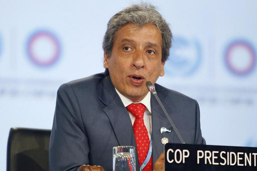 COP 20 President and Peru's Environment Minister Manuel Pulgar-Vidal makes an announcement during a plenary session of the UN Climate Change Conference COP 20 in Lima on Dec 12, 2014.&nbsp;UN members on Sunday adopted a format for national pledges to