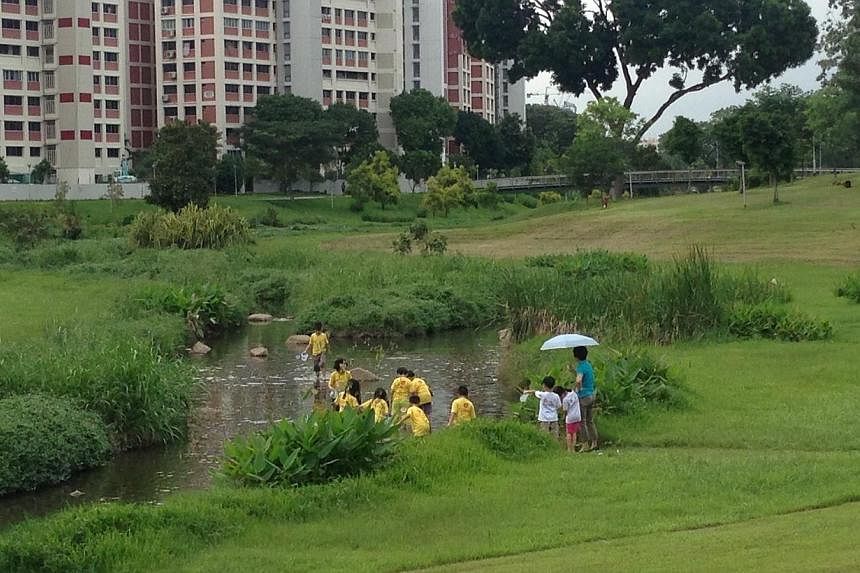 Park goers did not seem to notice anything wrong with the water.&nbsp;-- ST PHOTO: YEO SAM JO