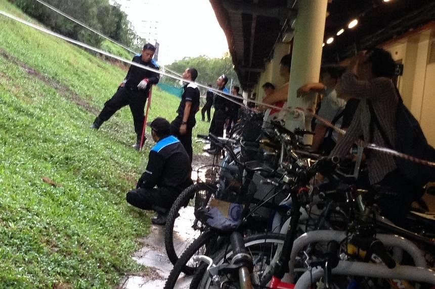 The rat busting operation at Bukit Batok MRT Station continued on Thursday evening, as more than a hundred curious onlookers gathered to watch pest busters trap and kill the rodents. -- ST PHOTO: YEO SAM JO