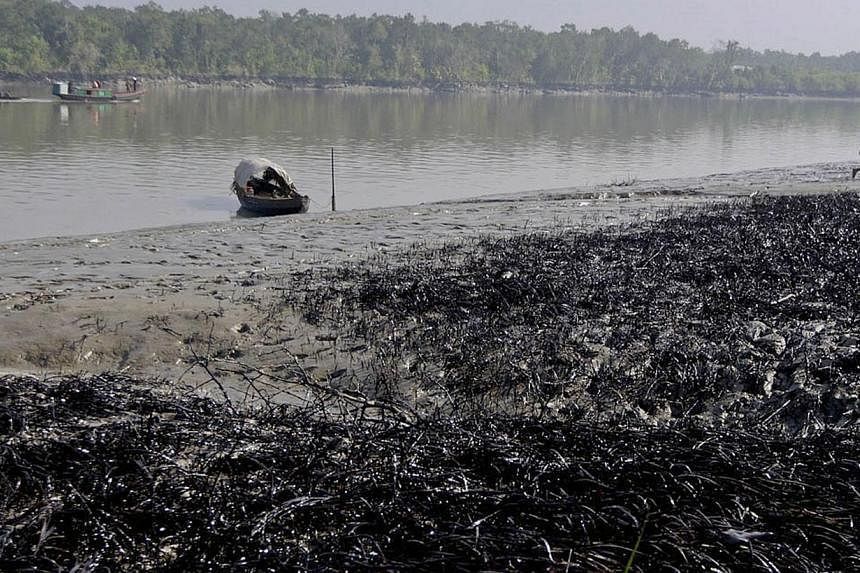 A Bangladeshi villager walks past oil-covered vegetation on the banks of the Shela River after an oil-tanker carrying 350,000 litres of furnace oil collided with another vessel in Mongla on Dec 14, 2014. -- PHOTO: AFP