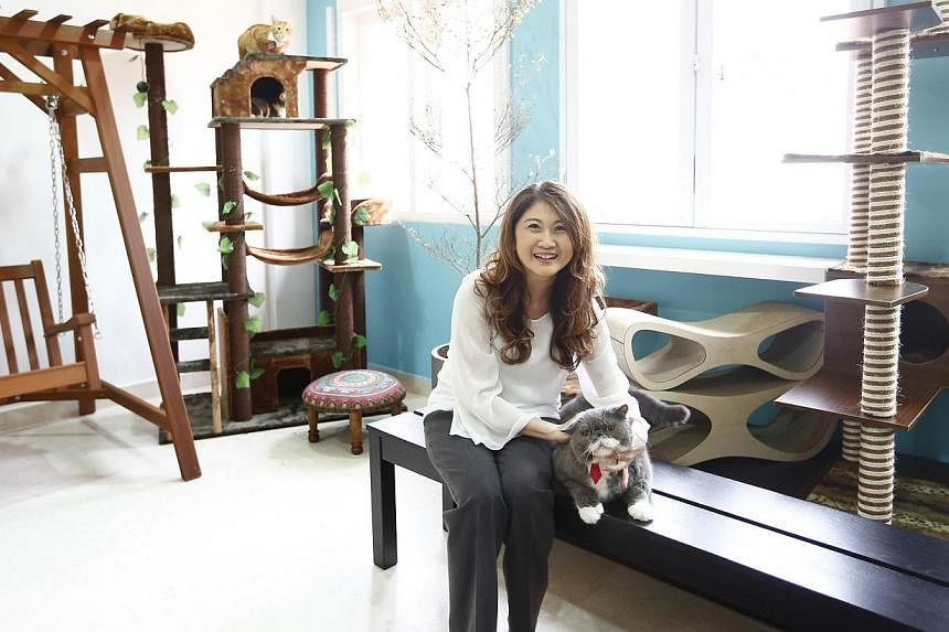 The Muses section of Lion City Kitty – a multi-concept social enterprise set up by former Gold 90.5FM DJ Jessica Seet (above) – is where cats from the Cat Welfare Society have a temporary home until they are adopted. -- PHOTO: TED CHEN FOR THE ST